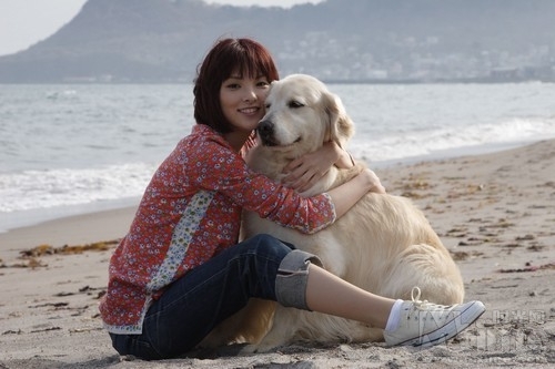 ҵʮԼ/Inu to watashi no jû no yakusoku(2008) ӰͼƬ  #01 ͼ 500X333